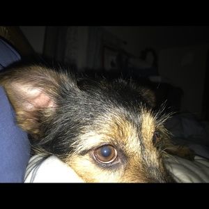 Meet your Posher, Tamara